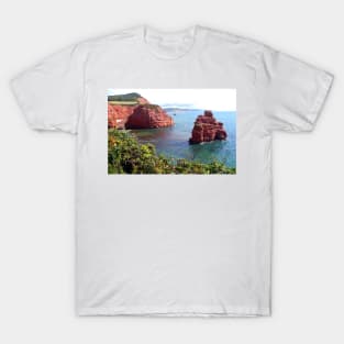 Ladram Bay Jurassic Coast Devon England T-Shirt